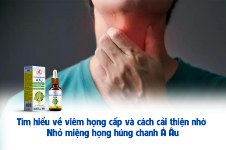 Tìm hiểu về viêm họng cấp và cách cải thiện nhờ Nhỏ miệng họng húng chanh Á Âu