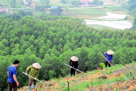 Hoà Bình: Nhiều dự án sử dụng vốn ngân sách đã thi công nhưng chưa hoàn thiện thủ tục chuyển mục đích sử dụng rừng