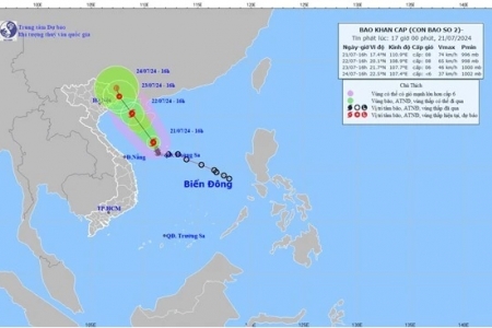 Hải Phòng: Yêu cầu khẩn trương chủ động ứng phó với bão số 2 năm 2024