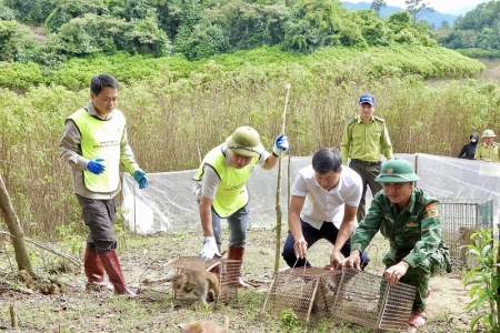 Hà Tĩnh: Tái thả 36 cá thể động vật hoang dã về môi trường tự nhiên