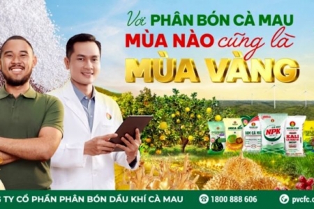 PVCFC: Đồng hành cùng những "mùa vàng" của bà con nông dân