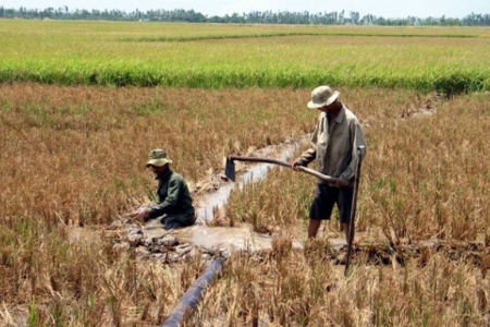 Thời gian quan trắc xâm nhập mặn thủ công và tự động bao nhiêu là phù hợp?