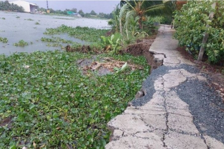 Long An thực hiện công tác phòng, chống sạt lở bờ sông, kênh, rạch