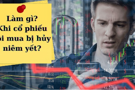 Chuyên gia trao đổi về việc cổ phiếu bị hủy niêm yết, bảo vệ quyền lợi cổ đông