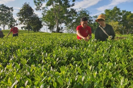 Agribank tiên phong đầu tư phát triển nông nghiệp công nghệ cao