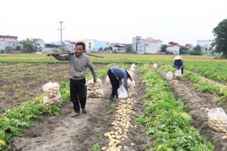 Bắc Ninh tiến hành rà soát hộ nghèo, cận nghèo, hộ làm nông- lâm- ngư nghiệp có mức sống trung bình năm 2024