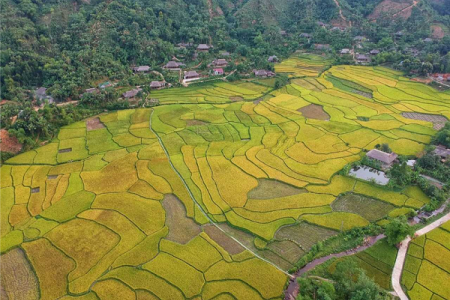 Lào Cai: Phát huy tiềm năng du lịch cộng đồng xã Nghĩa Đô