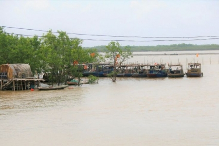 Ninh Bình tập trung ứng phó với bão Yagi