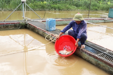 Bắc Ninh: Yêu cầu người dân không được ở lại trên các lồng bè nuôi trồng thủy sản, các bến đò ngang, tàu thuyền hoạt động trên sông