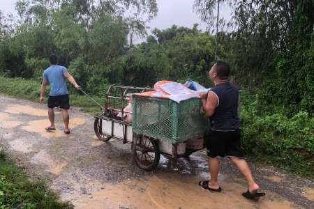 Lũ trên sông Ninh Cơ báo động 3, huyện Trực Ninh di dời gần 500 hộ dân vùng đê bối