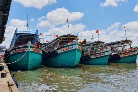 Cà Mau kiểm soát chặt chẽ tàu cá ra vào cảng, giám sát sản lượng thủy sản khai thác