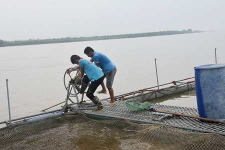 Bắc Ninh Khẩn trương thực hiện các giải pháp khôi phục sản xuất chăn nuôi, thủy sản sau bão