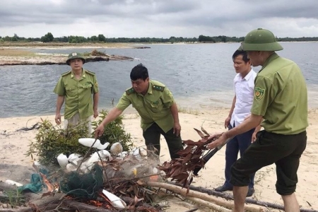 Hà Tĩnh: Ngăn chặn săn bắt chim di cư mùa mưa bão