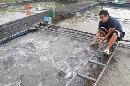 Bắc Ninh tăng cường chỉ đạo, khôi phục sản xuất thuỷ sản sau mưa lũ