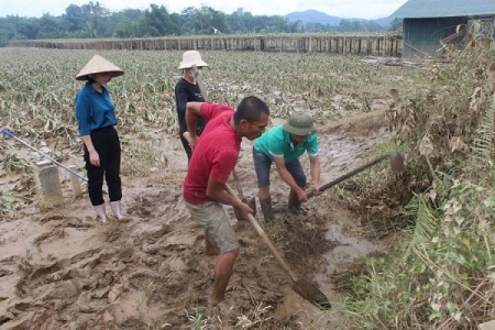 Lào Cai cần hỗ trợ 120 tấn lúa giống để khôi phục sản xuất bị thiệt hại do cơn bão số 3