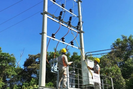 Công ty Thành Đạt thực hiện kê khai hợp đồng nguyên tắc và nhân sự không trung thực tại gói thầu xây lắp điện nông thôn