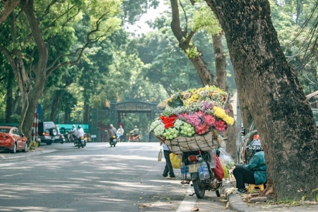 Thời tiết ngày 26/9: Cả nước đón nắng, chiều tối có mưa dông