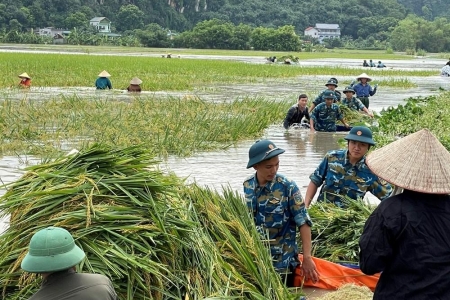 Hỗ trợ người dân phục hồi sản xuất chăn nuôi và nuôi trồng thuỷ sản sau thiên tai