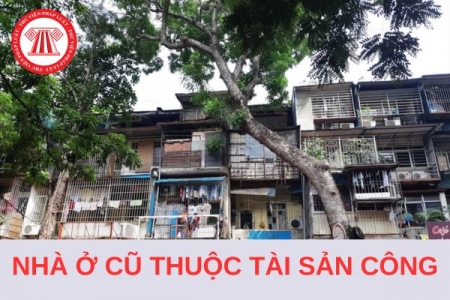 Không có hợp đồng thuê nhà ở cũ thuộc tài sản công có được tiếp tục thuê không?