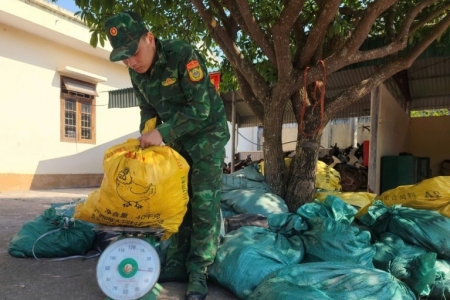 Lạng Sơn: Bắt giữ, tịch thu 400 kg chân lợn đông lạnh không rõ nguồn gốc