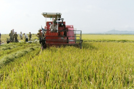 Gia Lai triển khai các giải pháp phục hồi sản xuất nông nghiệp để thúc đẩy sản xuất kinh doanh