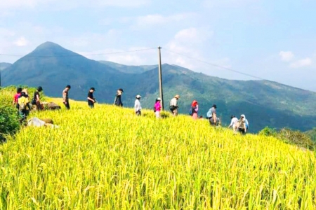 Bình Liêu đón đoàn famtrip 50 doanh nghiệp tới khảo sát, kết nối du lịch