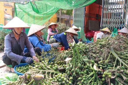 Người nông dân vui mừng, giá cau tươi tăng cao, vượt trên 80.000 đồng/kg