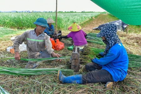 Thanh Hóa: Đẩy mạnh đào tạo nghề cho lao động nông thôn