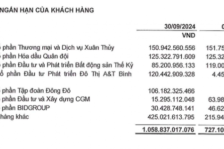 Xây dựng CDC ghi nhận lãi 20,01 tỷ đồng, tăng 58,9% so với cùng kỳ trong nửa đầu niên độ 2024 – 2025