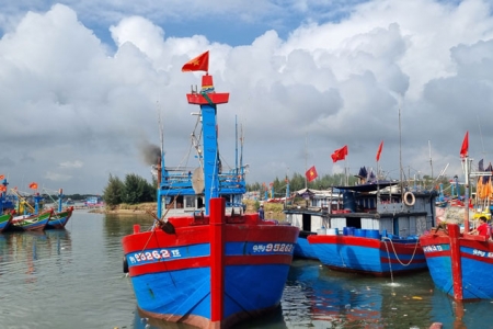 Gỡ thẻ vàng IUU: Xử lý dứt điểm tàu '3 không', quản lý chặt tàu dưới 15m