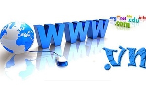 Nghị định số 147/2024/NĐ-CP: Các trường hợp bị thu hồi tên miền