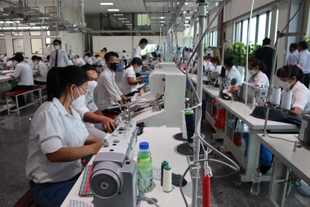 Long An bắt đầu tiến hành điều tra doanh nghiệp từ 01/4/2025