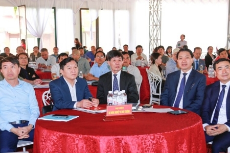 Hội thảo “Chuyển đổi xanh: Động lực phát triển bền vững khu vực Bắc Trung bộ”