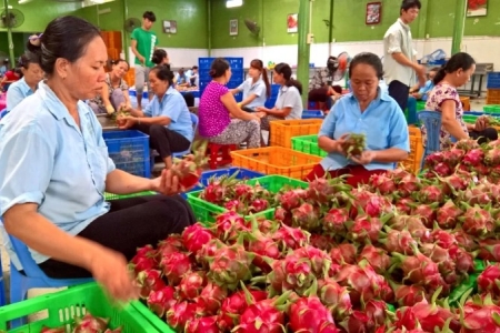 Tập trung xuất khẩu sản phẩm nông sản có giá trị cao sang thị trường Bắc Âu