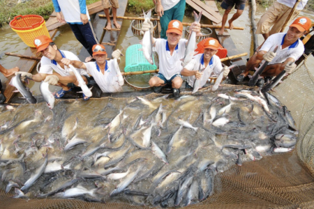 Mỹ là thị trường xuất khẩu lớn nhất và truyền thống của Việt Nam ở mặt hàng thủy sản