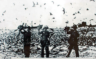 50 năm thống nhất đất nước: Ngày 25/4/1975, đảo Sơn Ca được giải phóng