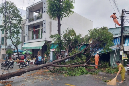 Long An chủ động phòng, ngừa, ứng phó các sự cố về thiên tai