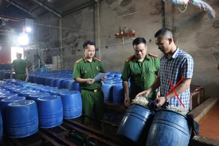 Khởi tố chủ cơ sở giá đỗ ngâm hóa chất, tiêu thu ra thị trường hơn 60 tấn