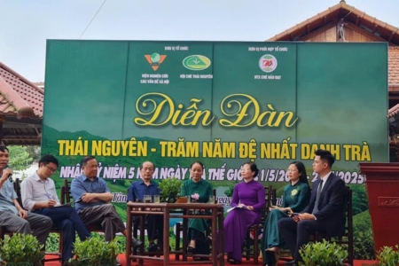 Diễn đàn Thái Nguyên - Trăm năm đệ nhất danh Trà