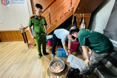 Phát hiện gần 480kg thực phẩm đông lạnh không rõ nguồn gốc