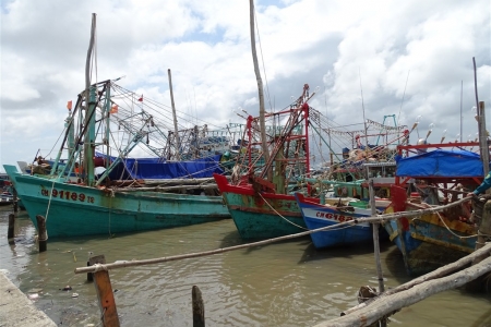 Cà Mau chủ động công tác phòng ngừa, ứng phó các sự cố môi trường trong mùa mưa bão