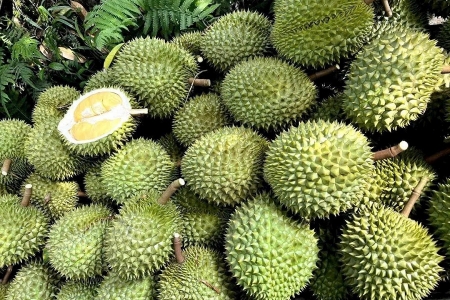 Giá sầu riêng hôm nay 27/5: Sầu Thái loại A tăng