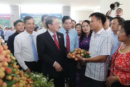 Bắc Giang: Tăng cường kết nối, đẩy mạnh xúc tiến tiêu thụ vải thiều và sản phẩm đặc trưng
