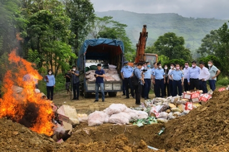 Lào Cai: Tiêu hủy số lượng lớn hàng hóa vi phạm