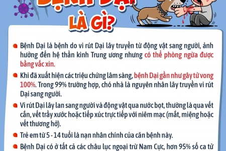 Những thông tin cha mẹ cần biết về bệnh dại để bảo vệ con