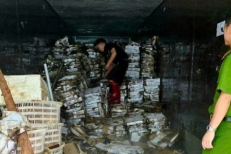 Quảng Ninh: Tiêu hủy hơn 25 tấn thực phẩm đông lạnh bốc mùi, phân hủy nặng