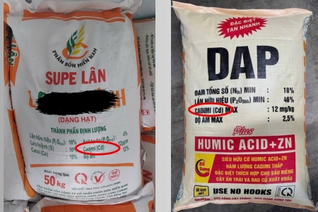 Bài 2: Người trồng sầu riêng không biết chất vàng O và Cadimi là chất gì