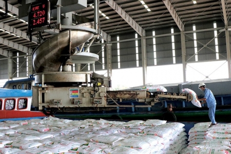 Xuất khẩu phân bón 5 tháng đầu năm đạt hơn 372 triệu USD