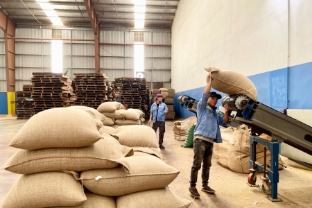 Gia Lai: Kim ngạch xuất khẩu trong 6 tháng năm 2025 ước đạt 783,58 triệu USD