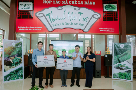 Thái Nguyên: Người dân trồng chè ở La Bằng với niềm vui an cư